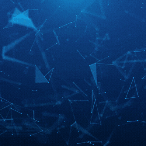 Search Engine Optimization (SEO)