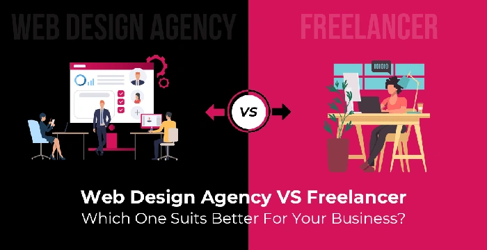 Why is a Website Designing Agency Better Than a Freelancer